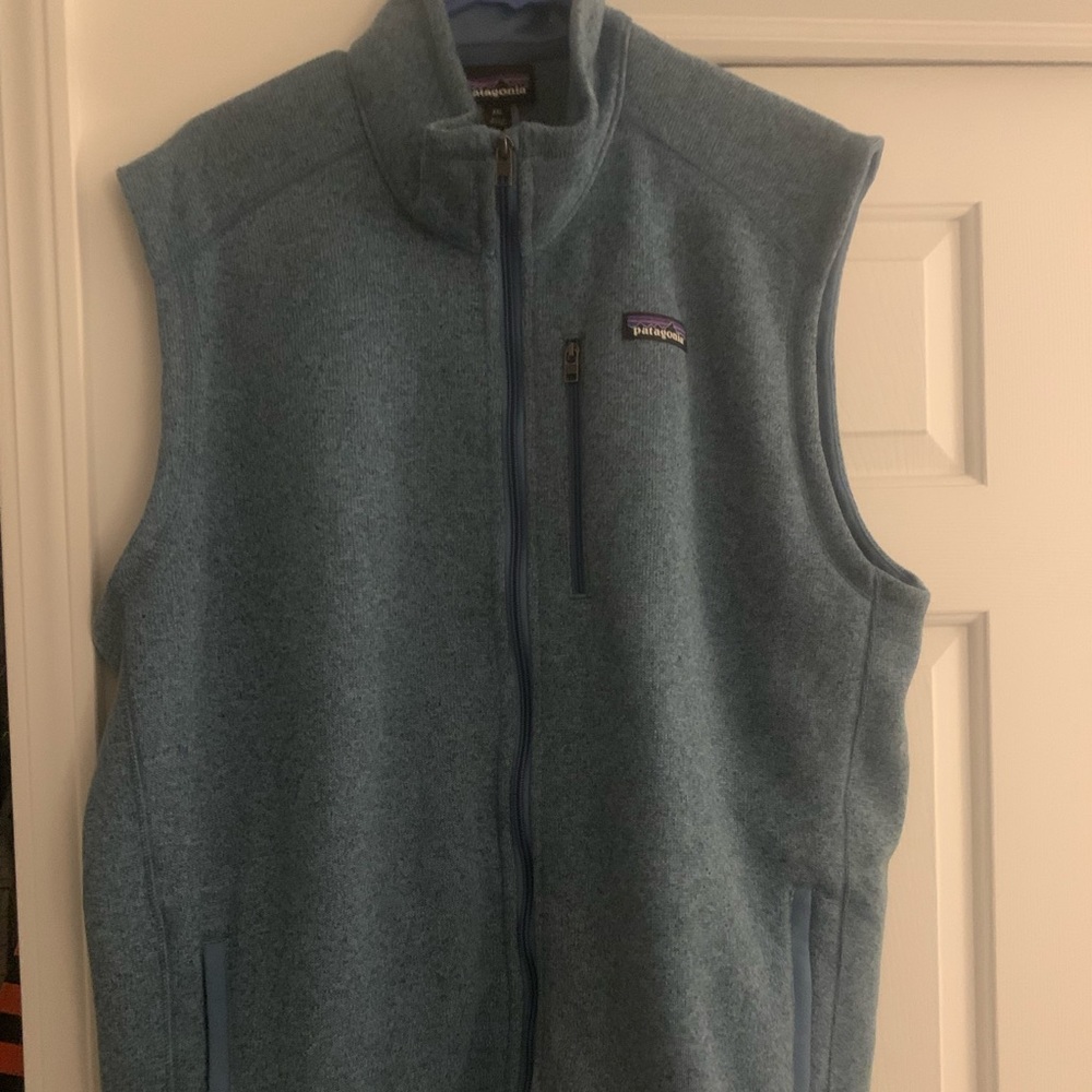 Mens Patagonia blue vest